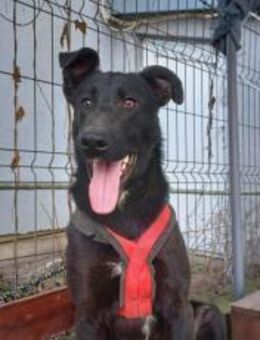 Hoppla, hier kommt Aslan! - München