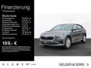 Skoda Scala, 1.0 TSI Drive |||VZE||, Jahr 2022 - Haßfurt