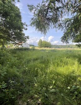 2 Einfamilienhäuser + mehrere Nebengebäude auf 6000m² mit Traumblick! Pferdehaltung möglich! - Adelebsen