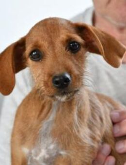 Alix freut sich auf Sie - Neuss