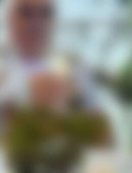 Pet*** - Halle (Saale)