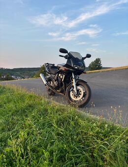Yamaha FZS 600 Fazer 28300 tkm. - Zellingen