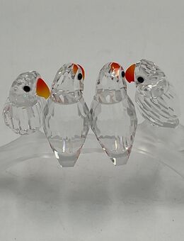 Swarovski Lovebirds - Niedernhausen