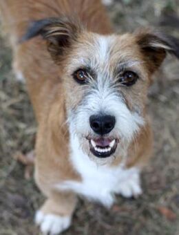 Lizu wünscht sich eine eigene Familie - Dittelbrunn