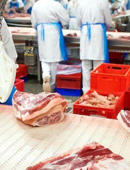 Suche Helfer-Job (Hauswirtschaft, Gastronomie, Produktion, etc.) - Hannover