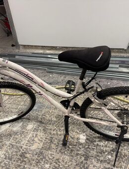 Mountainbike - Berlin Tempelhof-Schöneberg