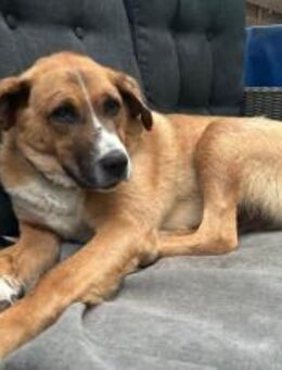 Stian ist ein sanfter & liebevoller <3 - München