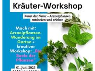 Heilkräuter-Workshop am 1. Juni in Großhansdorf - Großhansdorf