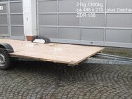 Plattformanhänger 1300kg ca 485 x 210 ideal für TINY House, Quad- Zweirad-Maschinentransporter gebr. mit Brief (Bürstner 4824 BJ 98) - Schotten Zentrum