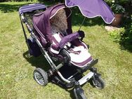 Hartan S. Oliver Kinderwagen Wickeltasche Wintesack Sonnenschirm Maxi Cosi Autositz Spielebogen - Egelsbach