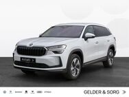 Skoda Kodiaq, 2.0 TDI Selection |VKZE||, Jahr 2024 - Coburg