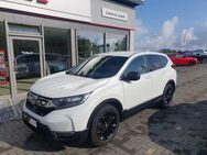 Honda CR-V Hybrid 2.0 i-MMD 2WD Sport Line - Anklam