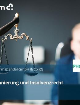 Experte Sanierung und Insolvenzrecht (m/w/d) - Mannheim