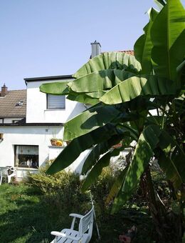 Ein-/Zweifamilienhaus nahe der Urdenbacher Kämpe - Düsseldorf