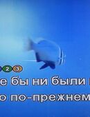 ❤️ ❤️ ❤️ Samsung Karaoke Player DVD-K110 russische Songs 4000 in 85049