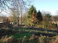 Wald- und Freifläche für Gartennutzung, Freifläche, Hundeschule - Solingen (Klingenstadt)