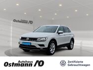 VW Tiguan, 2.0 TDI Highline FLA STH, Jahr 2020 - Bad Arolsen