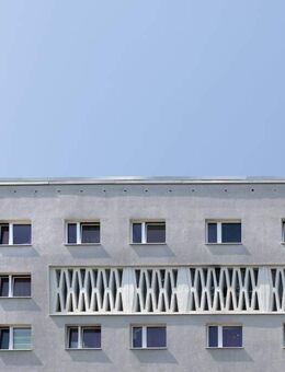 Schöne renovierte Wohnung - Halle (Saale)