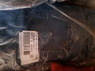 Damenjeans hose - Aken (Elbe)