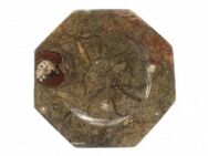 Ammoniten Platte 30 cm - Thierhaupten