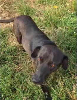 Stella - menschenbezogen - Dreikirchen