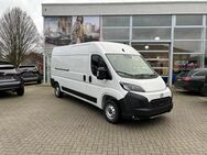 Toyota Proace, Max ProMax D140PS Kawa Meister L3H2 35 MT, Jahr 2024 - Steinfurt