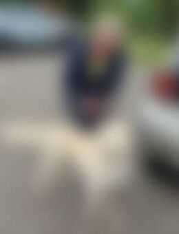 Lin*** - Frankfurt (Main)