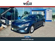 Ford Focus, Titanium X TWA Bang Olufsen EcoBlue EU6d-T, Jahr 2019 - Dülmen