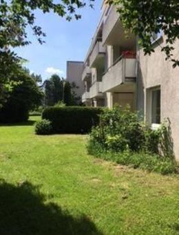 Neu renovierte 1,5 Zimmer-Wohnung - Ulm