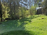 ++++EINFAMILIENHAUS MIT GROSSEM GARTEN UND SEPARATEM APARTMENT++++ - Weilrod