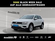 VW Tiguan, 2.0 TDI Highline FLA STH, Jahr 2020 - Melsungen