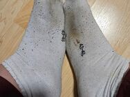 Duftende getragene Socken | Strümpfe | Strumpfhose - Haßfurt