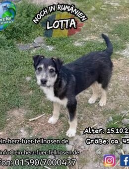 LOTTA - und ihre Schwester Lilo - Waakirchen