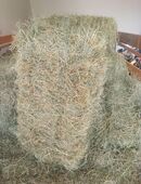 Kleine Grummetballen für Ziegen,Schafe, Hasen, Kleintiere in 87770