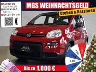 Fiat Panda, Pandina # #, Jahr 2024 - Wunsiedel