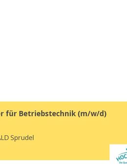 Elektroniker für Betriebstechnik (m/w/d) - Schwollen