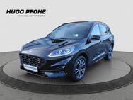 Ford Kuga, 1.5 ST-Line X EcoBoost 110kW Schiebedac, Jahr 2020 - Oldenburg (Holstein)