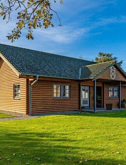 Paradies für Pferdefreunde vor den Toren von Sylt - Friedrich-Wilhelm-Lübke-Koog