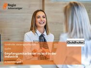 Empfangsmitarbeiter m/w/d in der Industrie - Memmingen