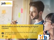 Werkstudent (m/w/d) Marketing & Digital Content - Ulm
