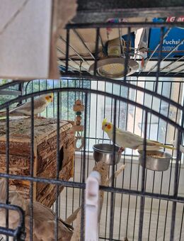 Mann sucht Freundin - Berlin