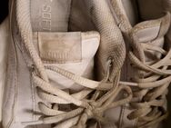 Schuhe aus dem Service, getragene Sneaker - Koblenz