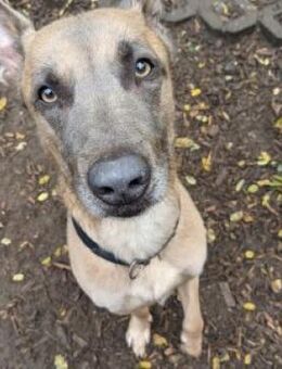 Sportliches Zuhause - Bad Belzig