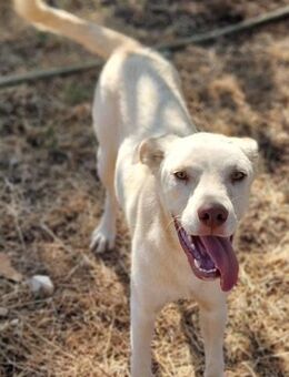 Tolle Ylvi mit den grünen Augen - Mettmann