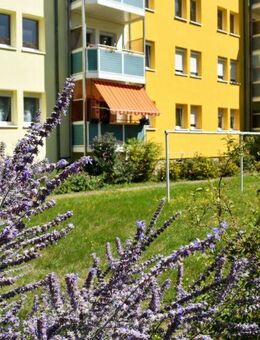 3-Raumwohnung in grüner Umgebung!-360°Tour - Riesa