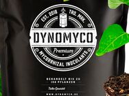Dynomyco Mykorrhiza Pilze Dünger Brokkoli Weed Grow Growbox - Vallendar
