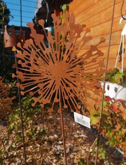 Preisgünstiger Gartenstecker Allium Edelrost - Kraftisried