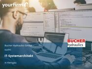 IT-Systemarchitekt - Klettgau