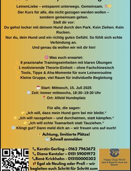 „Neue Hundeworkshops in Alfeld – Leinenführigkeit & Bereit für den Hundeführerschein? - Alfeld (Leine)