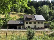 Zweifamilienhaus-1,73 ha Wald und Wiesen, Alleinlage, PV-Anlage, eigene Quelle, am Wildbach - Bad Rippoldsau-Schapbach